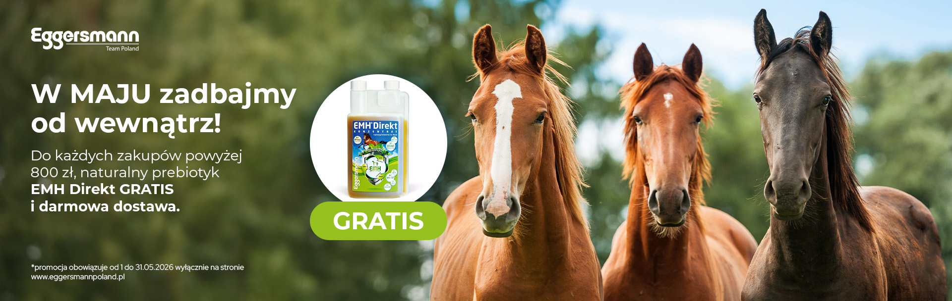 Promocja kwietniowa