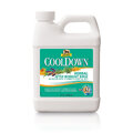 Absorbine Cool Down 950ml