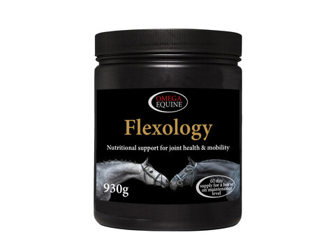 Omega Flexology - wsparcie stawów