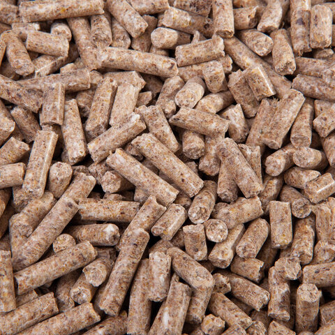 Zucht Pellets granulat dla koni hodowlanych 25kg